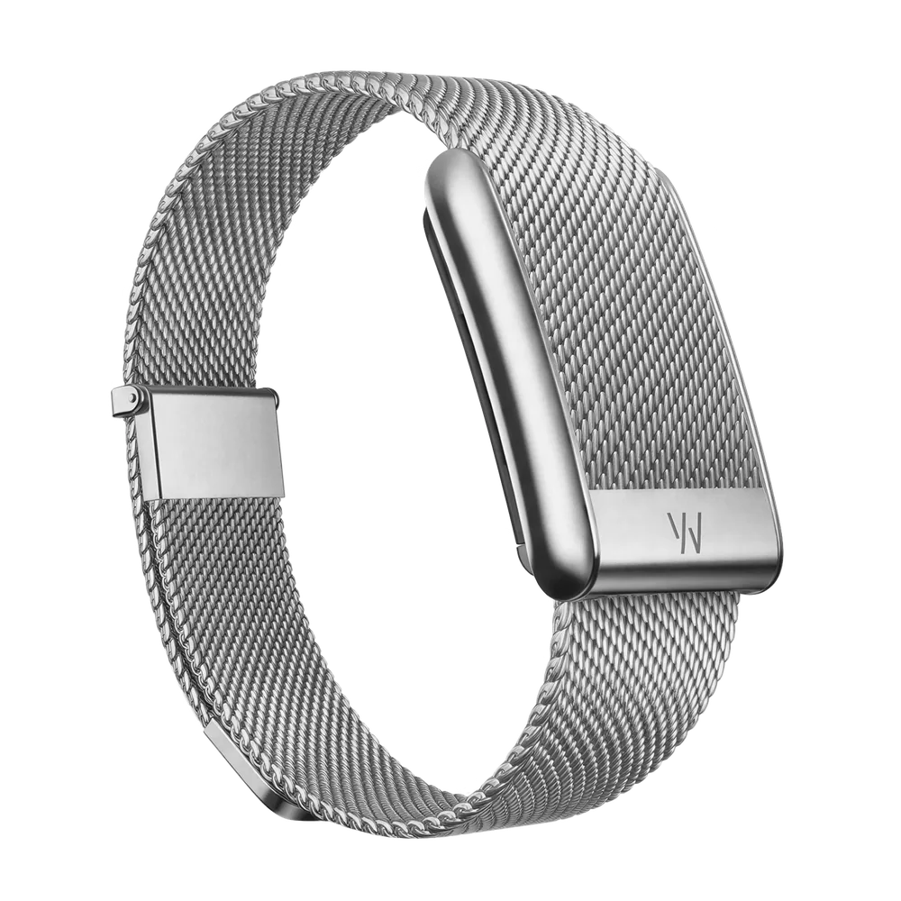 Dây Meridian 5.0 màu Alloy bằng lưới thép bạc gắn thiết bị WHOOP
