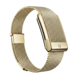 Dây Meridian MG – ảnh chính