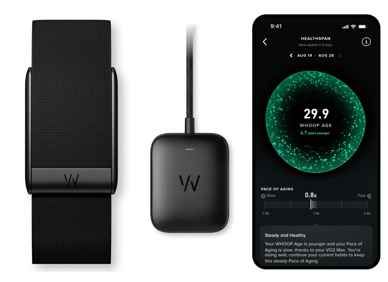 Hộp WHOOP 5.0 bản Peak: thiết bị, dây SuperKnit và sạc PowerPack